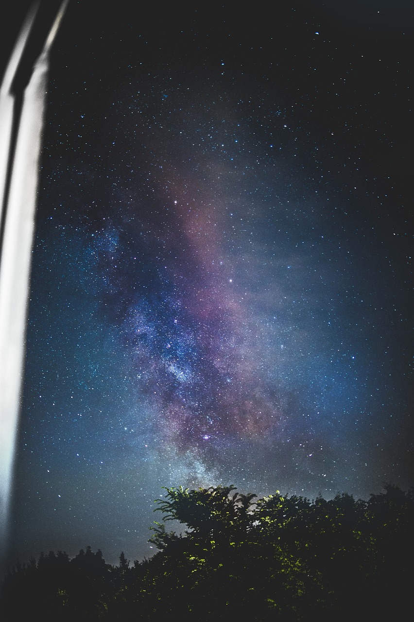 五月星光璀璨，成为明星的游戏之旅